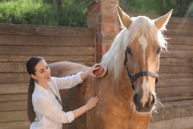 Woman brushing adorable horse outdoors. Pet care