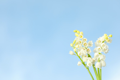 Photo of Beautiful lily of the valley flowers against blue sky, closeup. Space for text