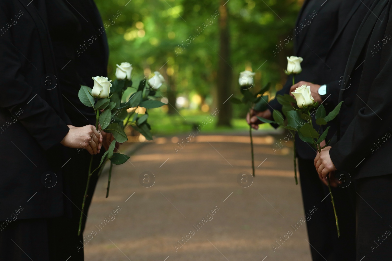 Photo of People with white rose flowers outdoors, closeup. Funeral ceremony