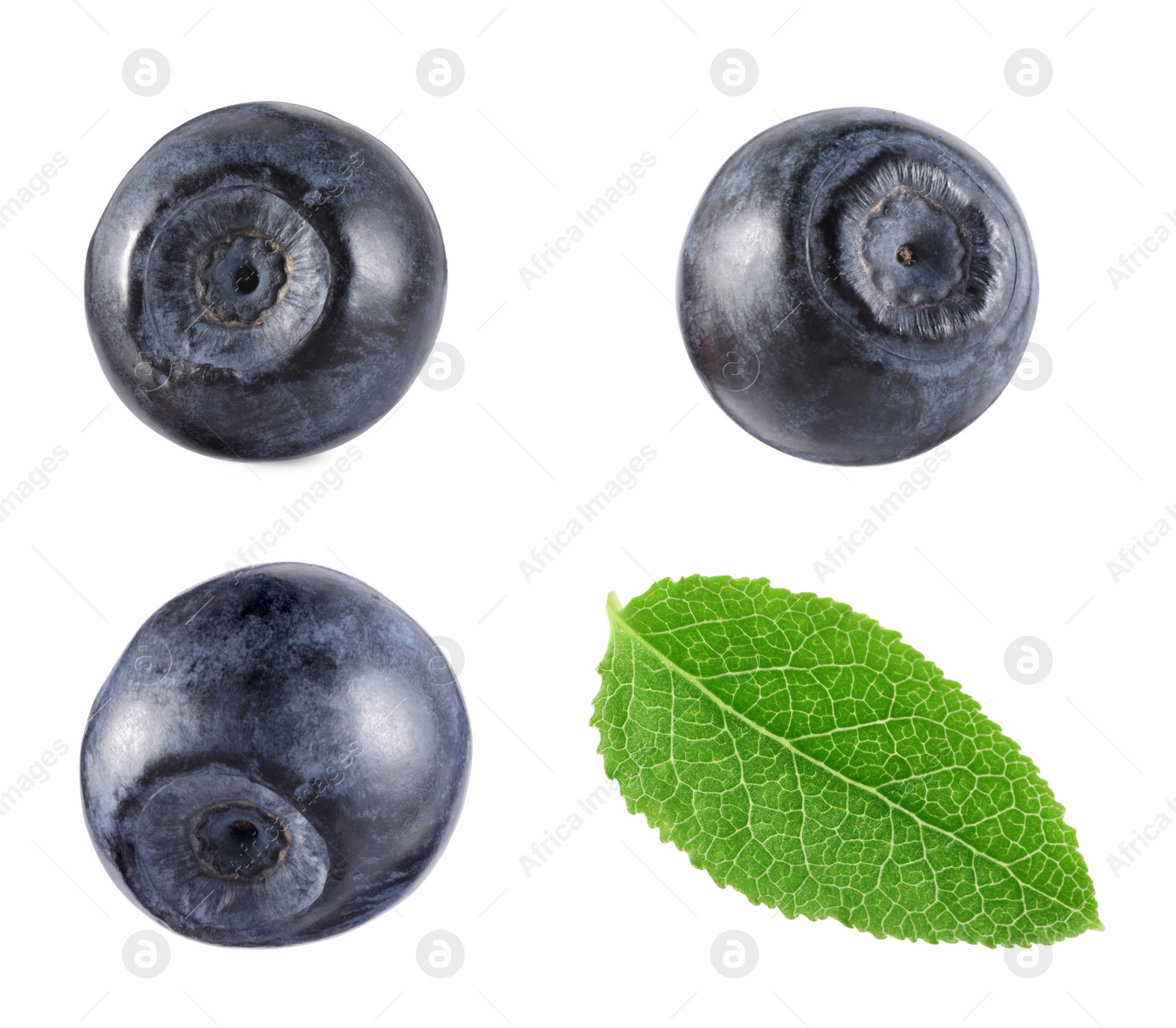 Image of Set with fresh ripe bilberries and green leaf isolated on white