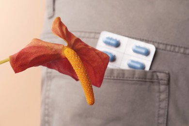 Photo of Anthurium flower symbolizing male sexual organ and pills in pocket, closeup. Potency problem