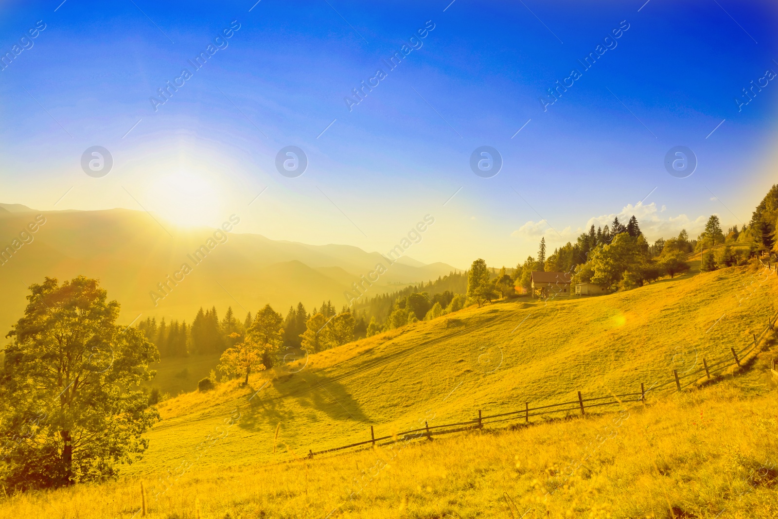Image of Ukrainian flag. Picturesque view of yellow landscape under blue sky on sunny day
