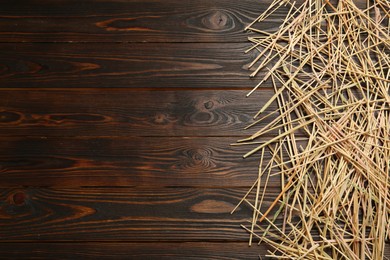 Dried hay on wooden background, flat lay. Space for text