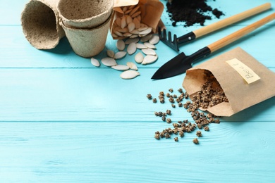 Photo of Vegetable seeds and gardening tools on light blue wooden table. Space for text