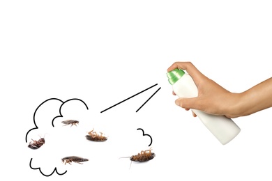 Image of Pest control. Using household insecticide to kill cockroaches on white background, closeup. Illustration