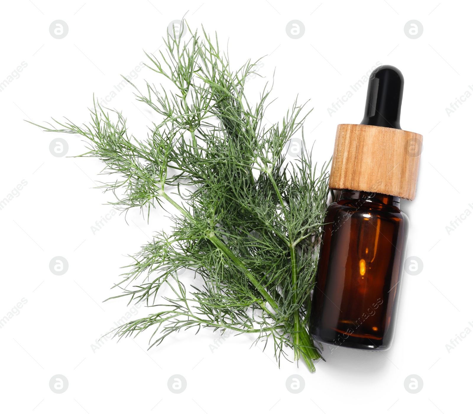 Photo of Bottle of essential oil and fresh dill isolated on white, top view