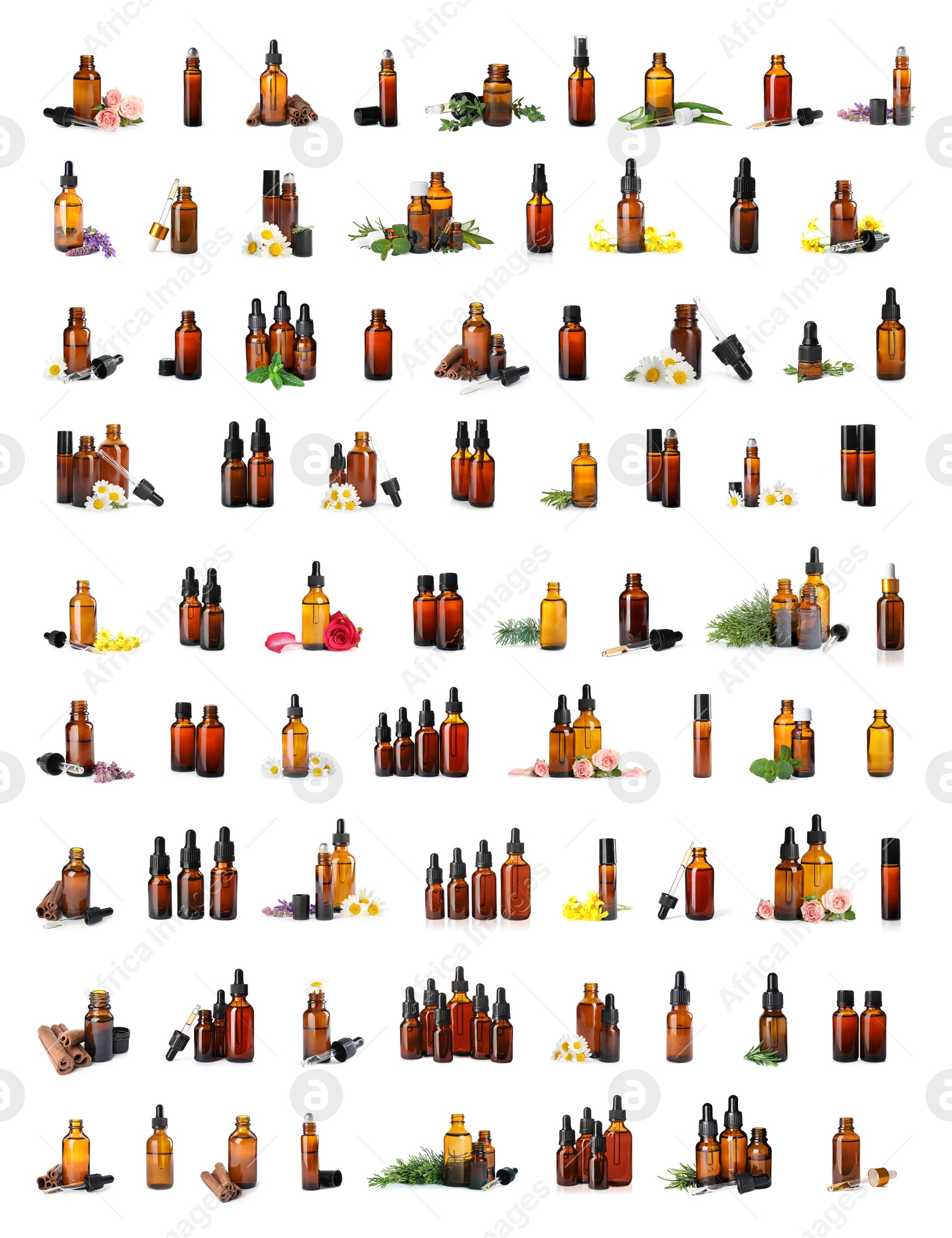 Image of Set with bottles of different essential oils on white background