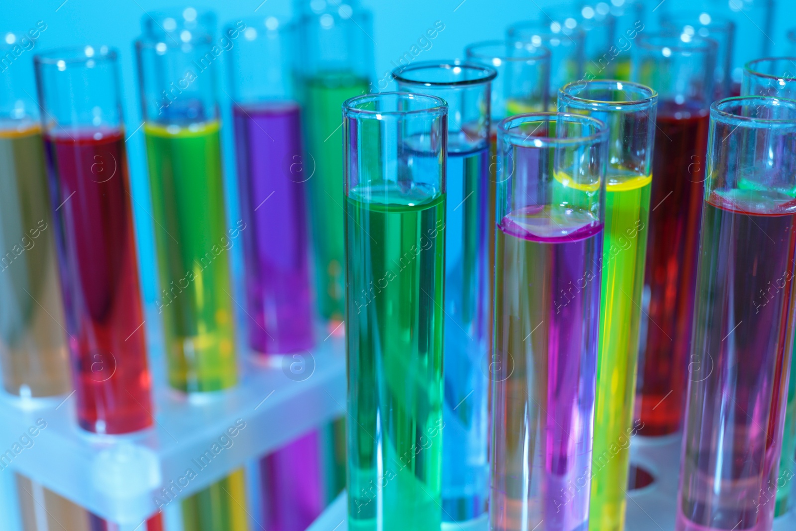Photo of Many test tubes with colorful liquids on light blue background, closeup