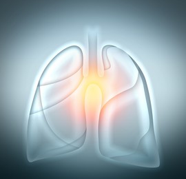 Illustration of  human lungs on light grey background