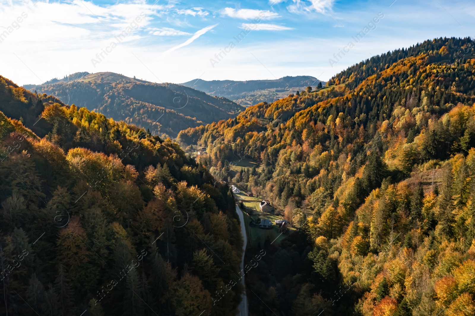 Image of Aerial view of road going through beautiful autumn forest