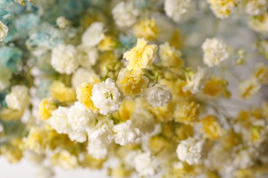 Photo of Many beautiful dyed gypsophila flowers, closeup view