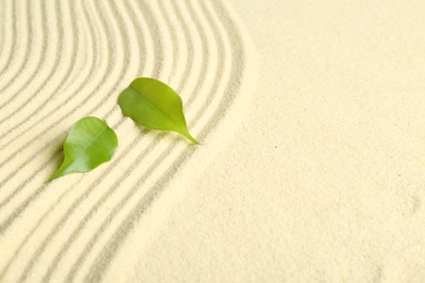 Zen rock garden. Wave pattern and green leaves on beige sand