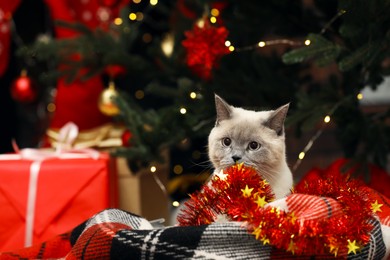 Photo of Cute cat on plaid under Christmas tree at home
