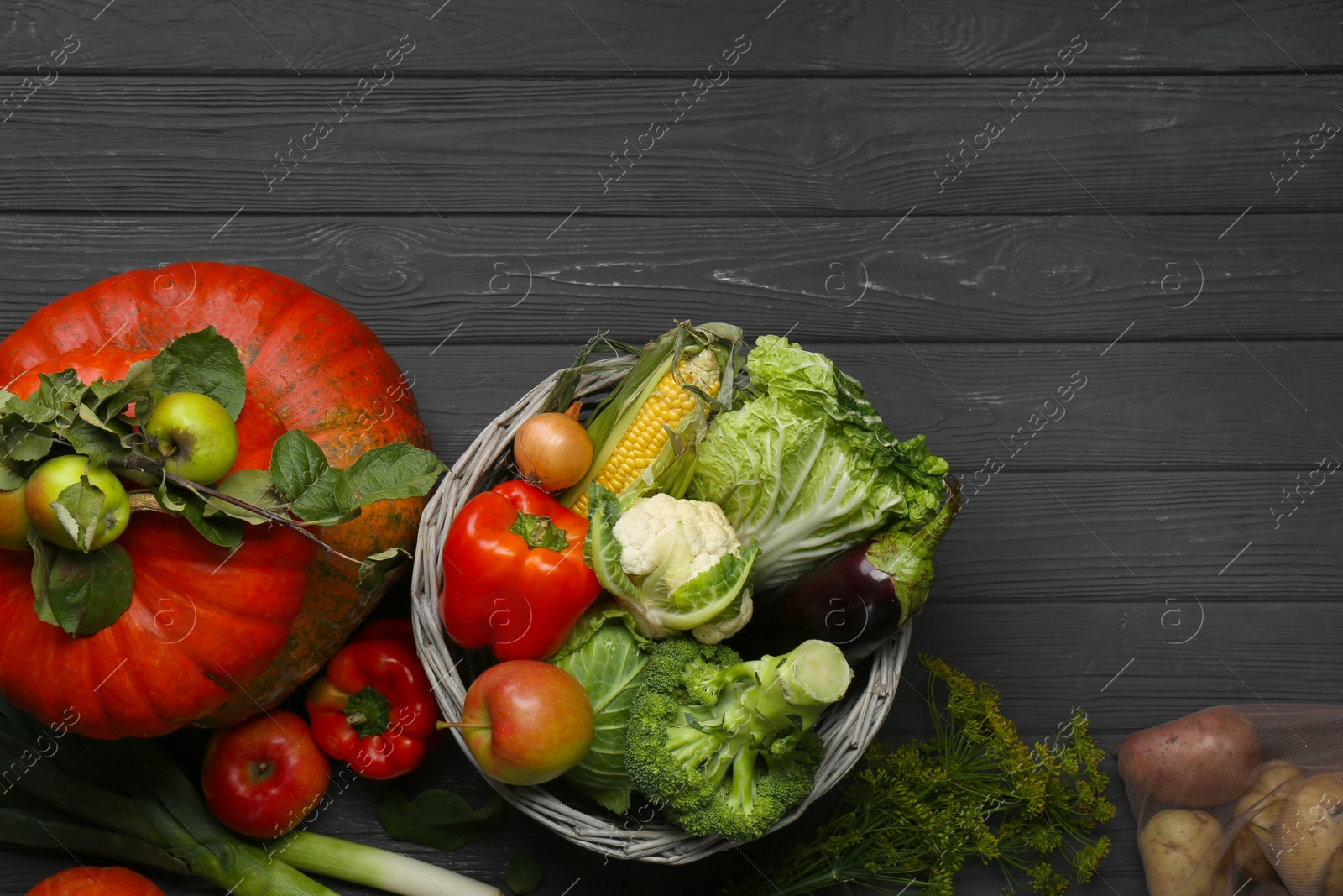 Photo of Different fresh vegetables and fruits on black wooden table, flat lay with space for text. Farmer harvesting