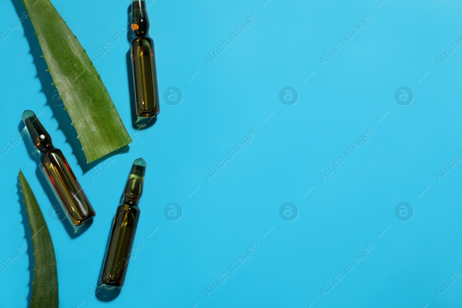 Photo of Pharmaceutical ampoules with medication and aloe leaves on light blue background, flat lay. Space for text