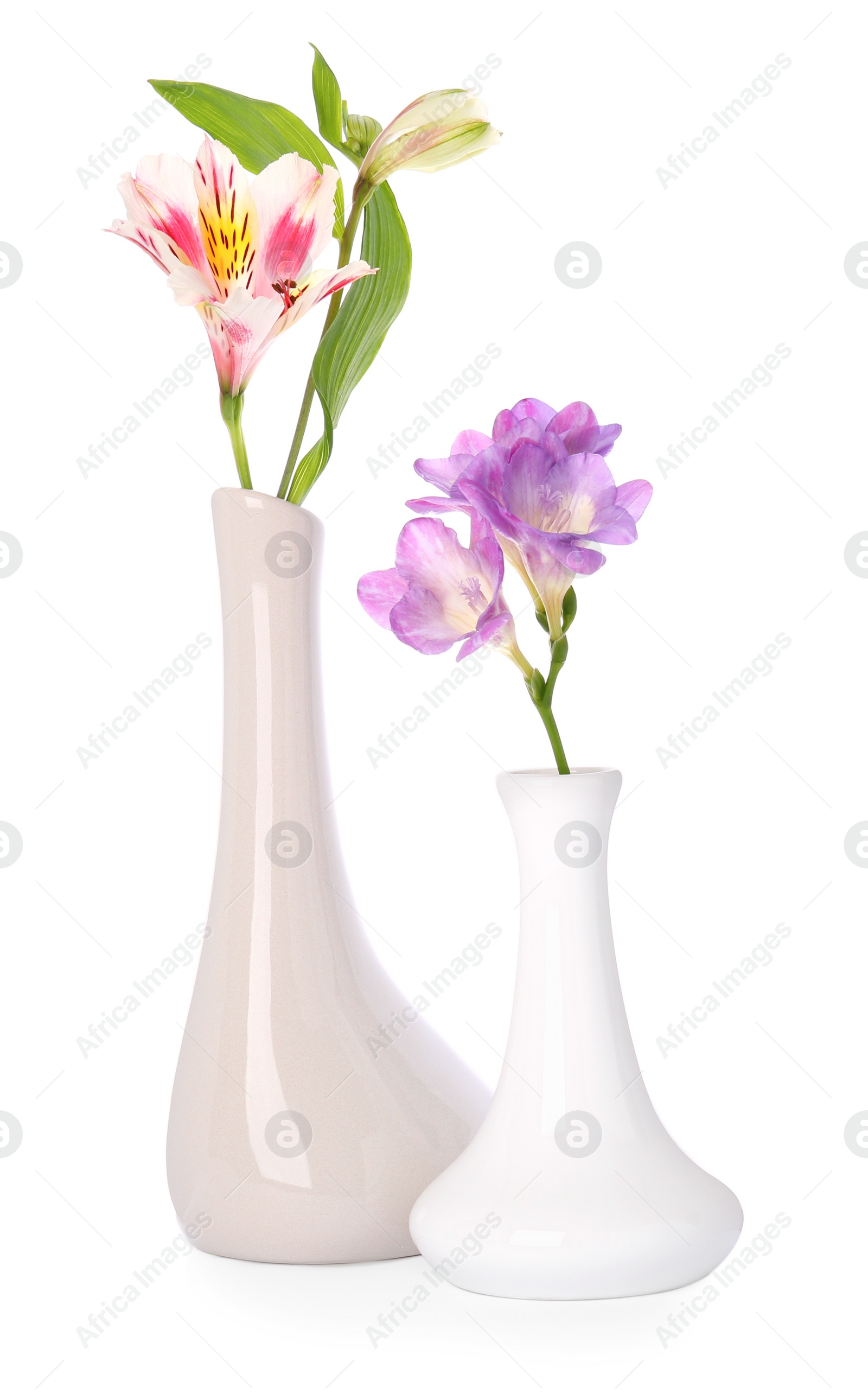 Photo of Beautiful fresh flowers in vases on white background