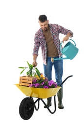 Male gardener watering plants in wheelbarrow on white background