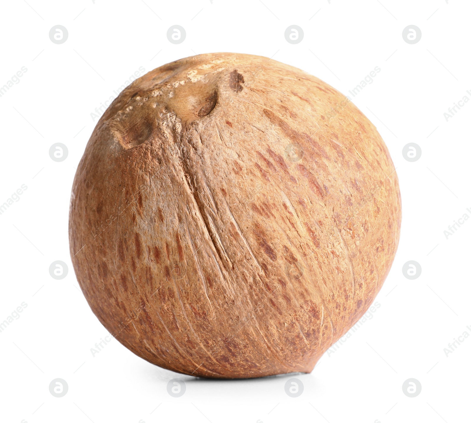 Photo of Ripe whole brown coconut on white background