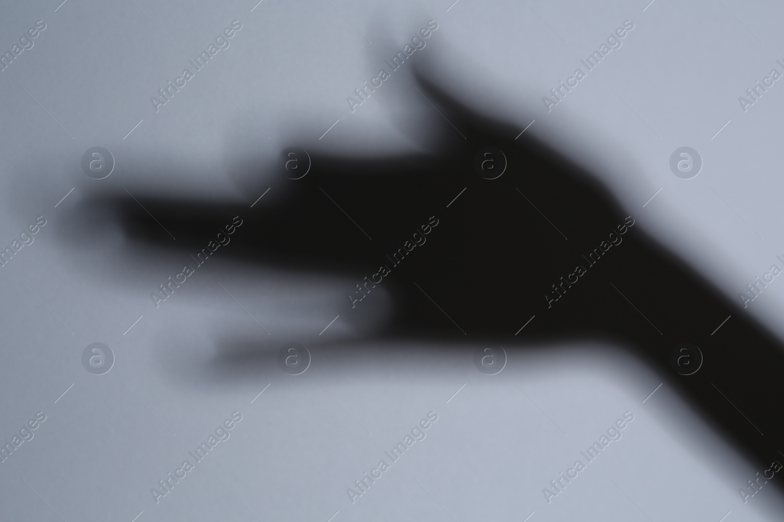 Photo of Shadow of hand like dog on grey background