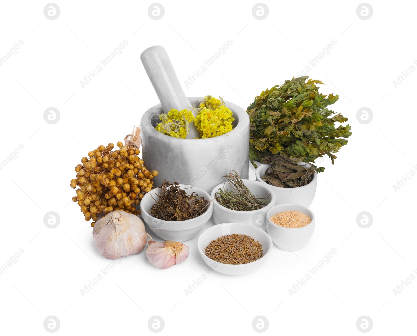 Photo of Mortar with pestle, many different dry herbs, flowers and garlic isolated on white