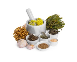 Photo of Mortar with pestle, many different dry herbs, flowers and garlic isolated on white