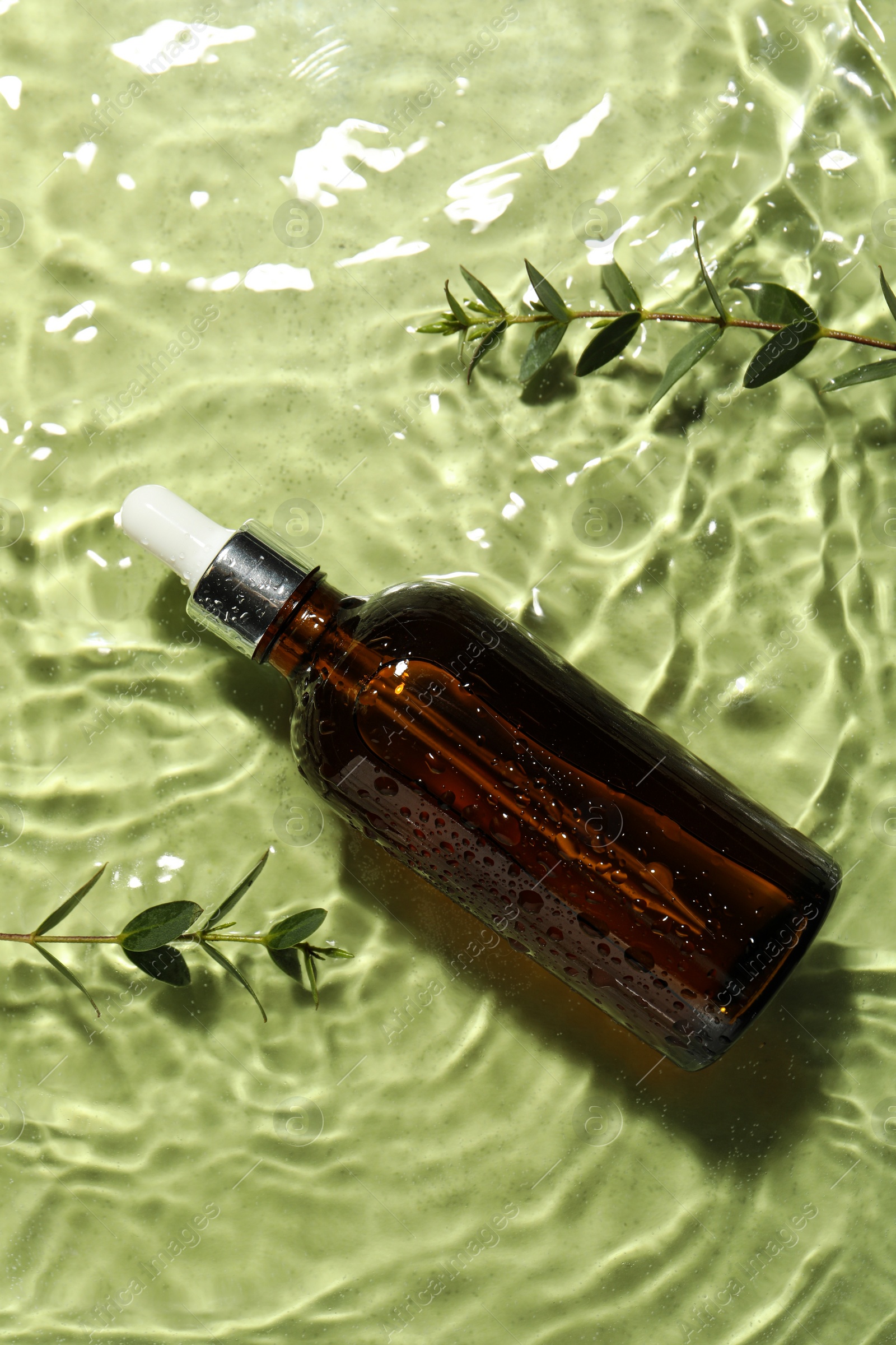 Photo of Bottle of hydrophilic oil and plant twigs in water on light green background, flat lay