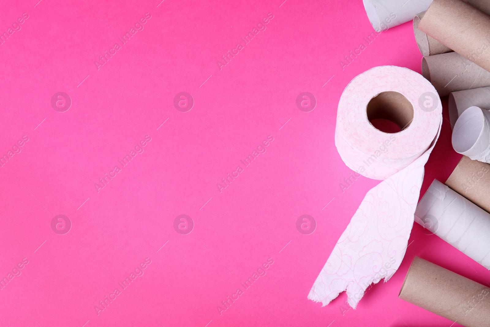 Photo of Toilet paper roll and empty tubes on color background. Space for text