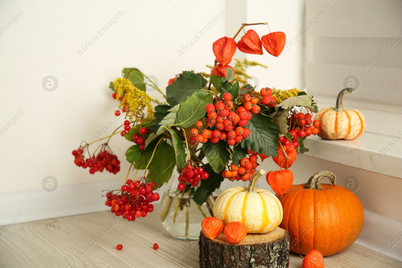 Photo of Beautiful autumn composition with different pumpkins indoors