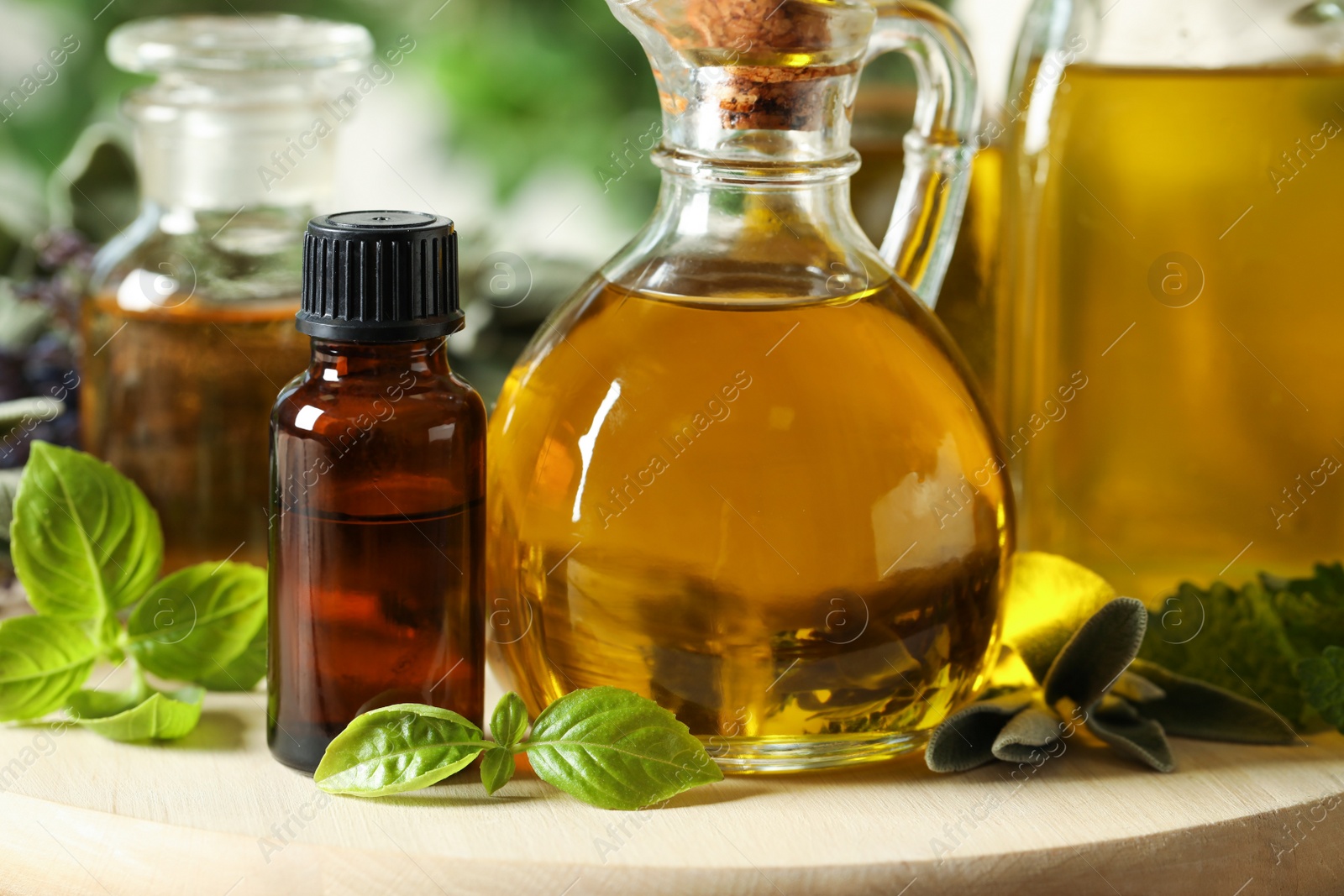 Photo of Different fresh herbs with oils on wooden board, closeup