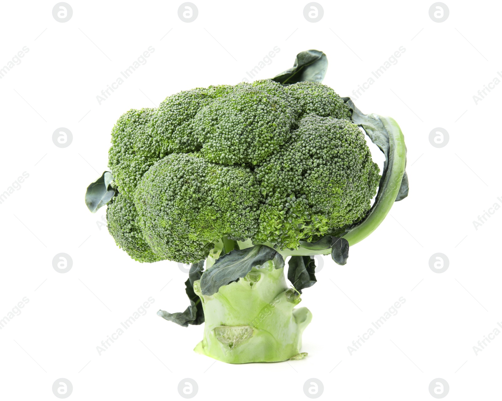 Photo of Fresh raw green broccoli isolated on white