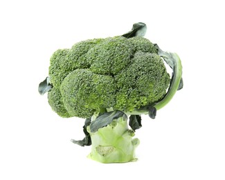 Fresh raw green broccoli isolated on white