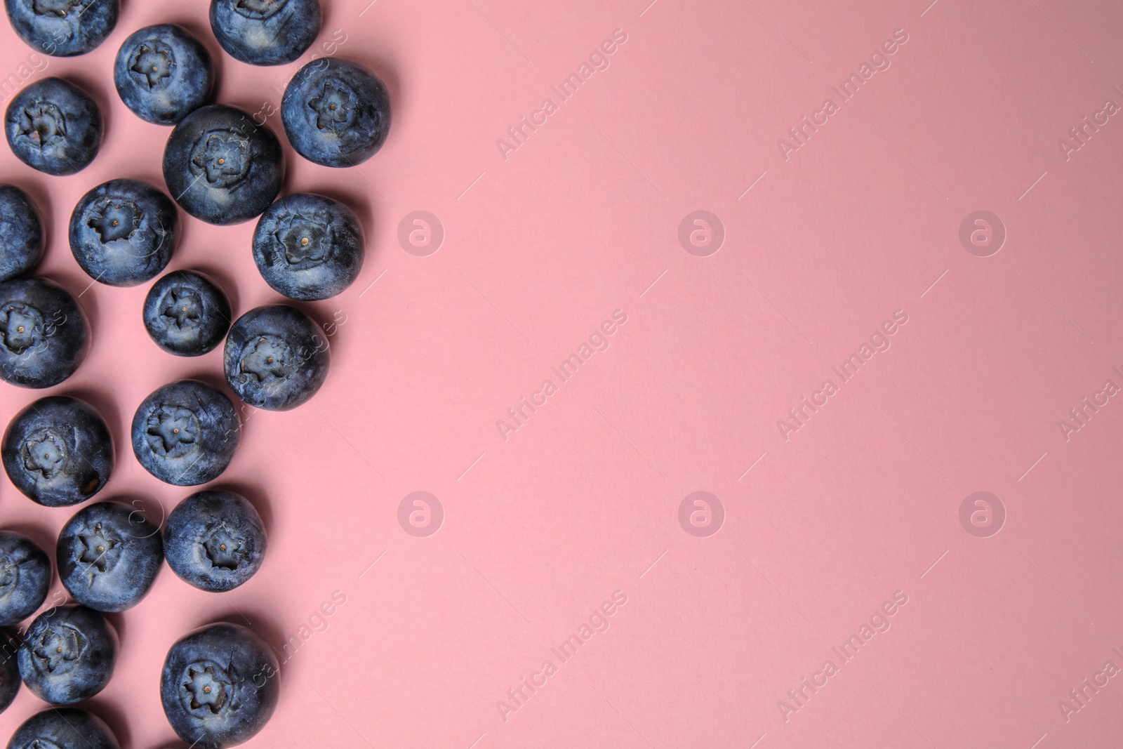 Photo of Tasty ripe blueberries on pink background, flat lay with space for text