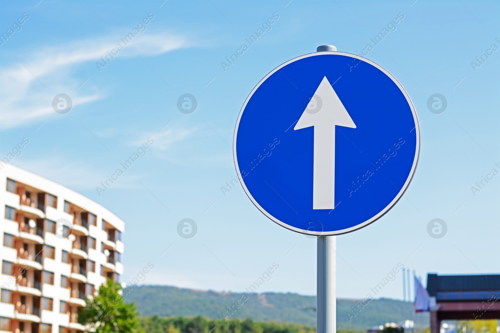 Photo of Post with traffic sign Proceed Straight Ahead Only outdoors on sunny day, space for text