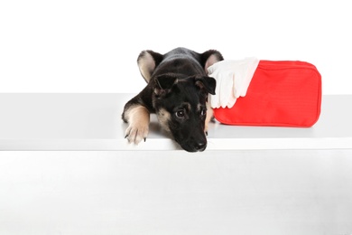 Photo of Cute puppy with first aid kit on white background