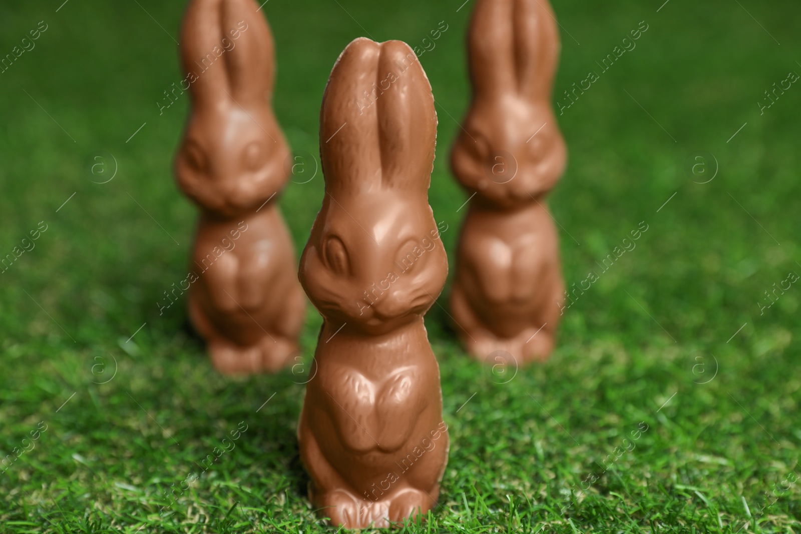 Photo of Chocolate bunnies on green grass. Easter celebration