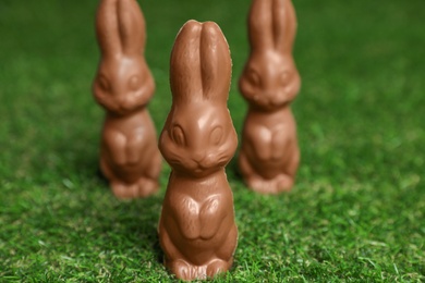 Chocolate bunnies on green grass. Easter celebration