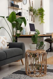 Cozy workplace with computer and houseplants near sofa at home