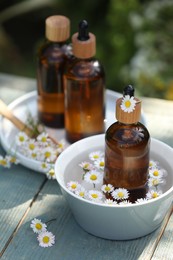 Bottles of chamomile essential oil and flowers on grey wooden table, closeup