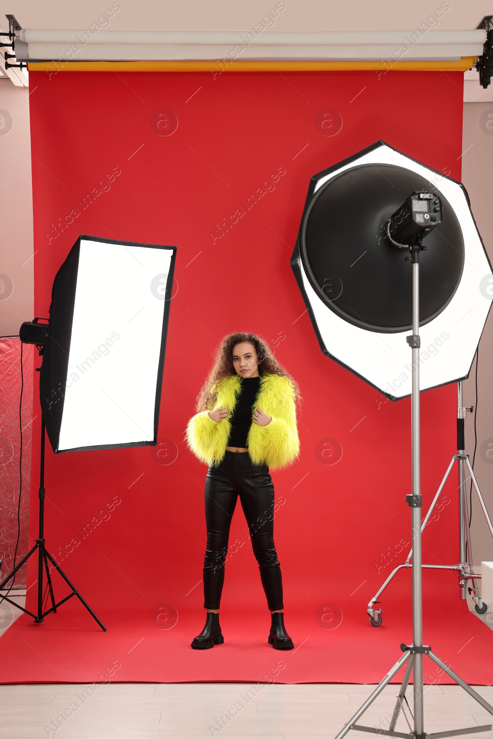 Photo of Beautiful African American model posing in studio. Professional photo session