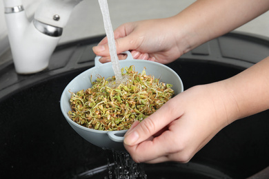 Photo of Woman washing sprouted green buckwheat over sink, closeup