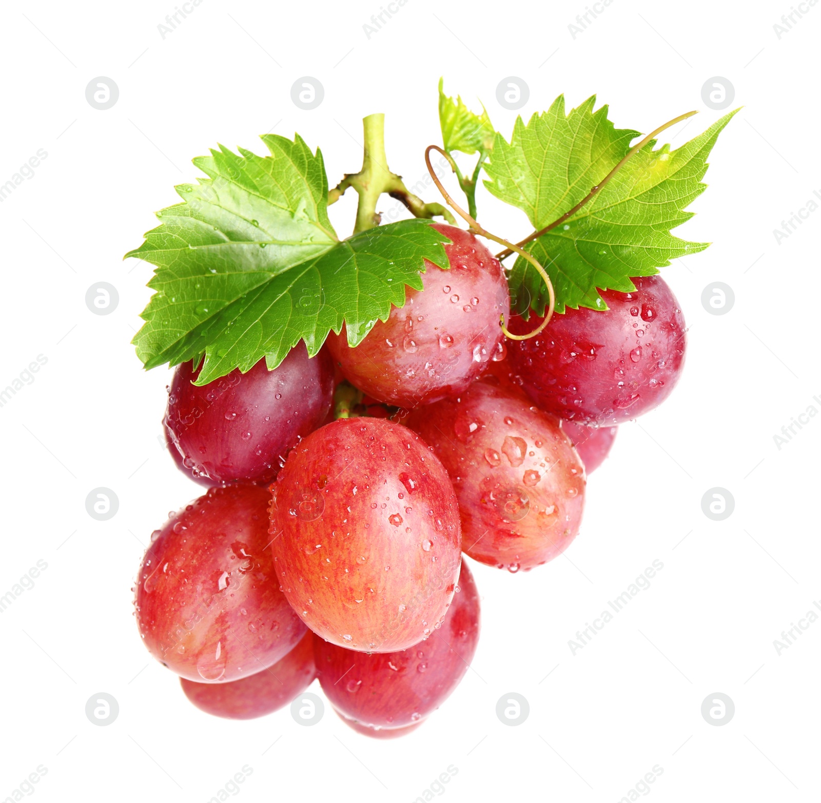 Photo of Fresh ripe juicy pink grapes isolated on white