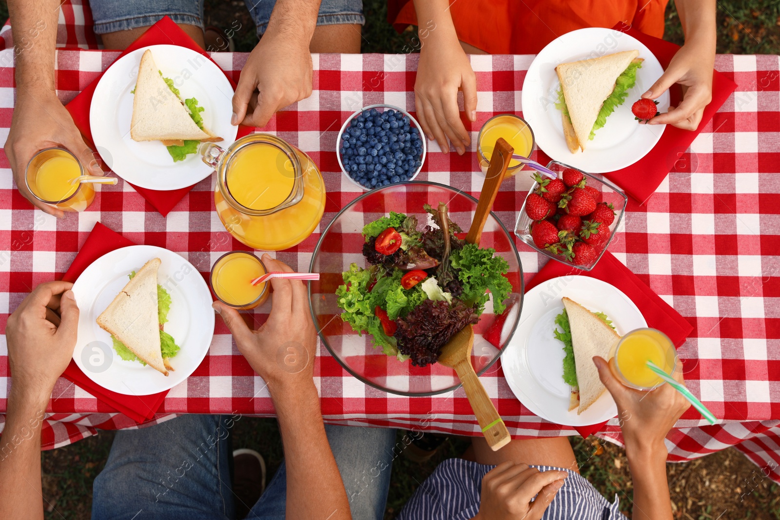 Photo of Group of people having picnic at table outdoors, top view