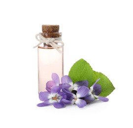 Photo of Beautiful wood violets and essential oil on white background. Spring flowers