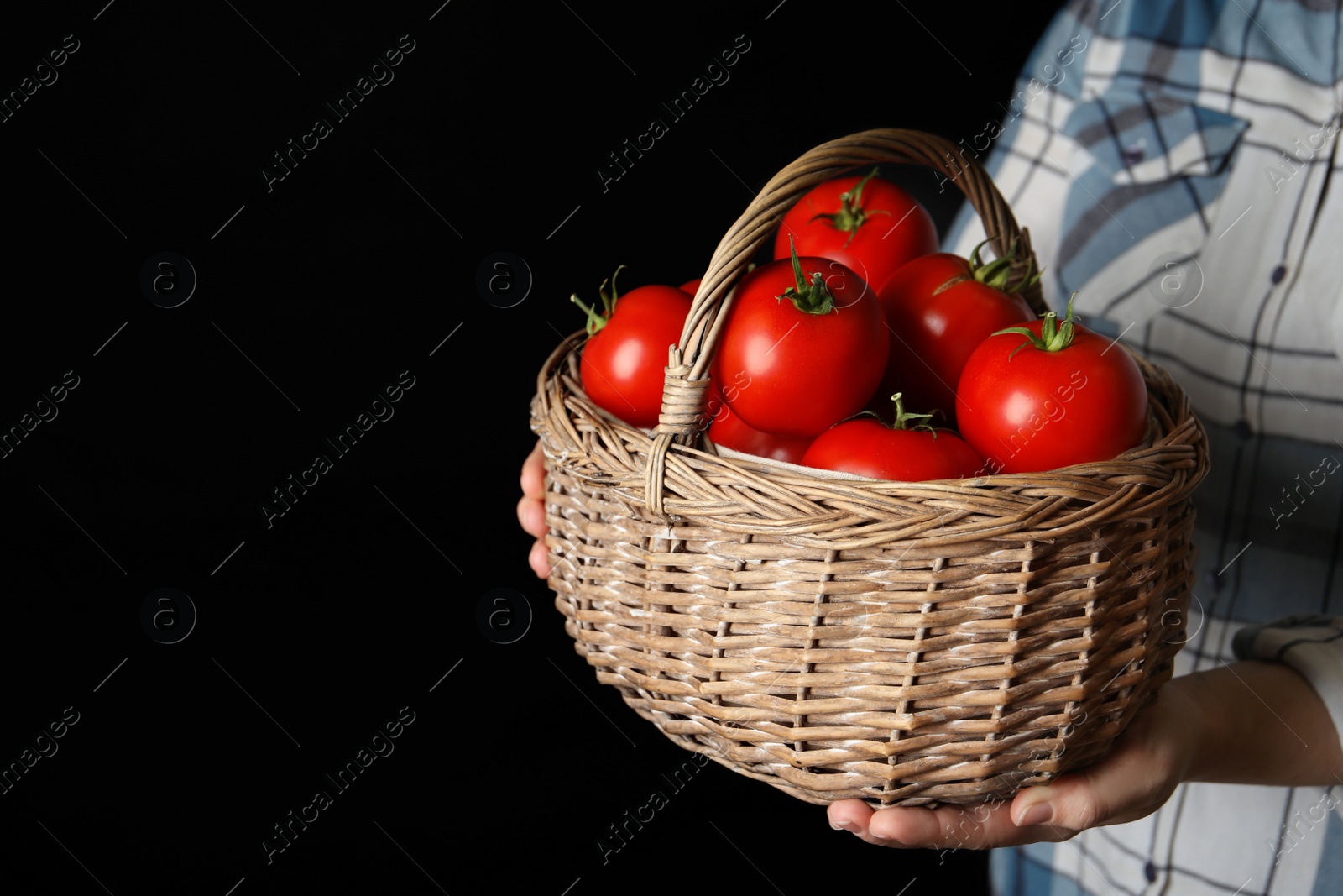 Photo of Woman with basket of ripe tomatoes on black background, closeup. Space for text