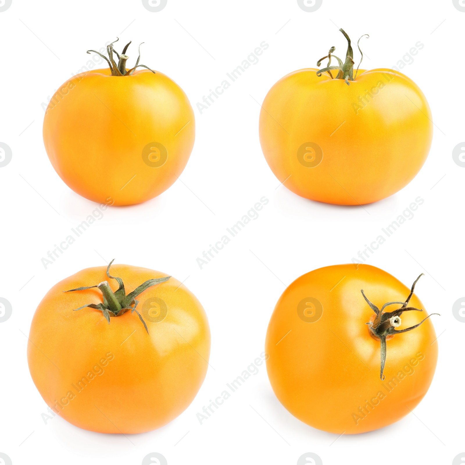 Image of Set  with fresh ripe yellow tomatoes on white background