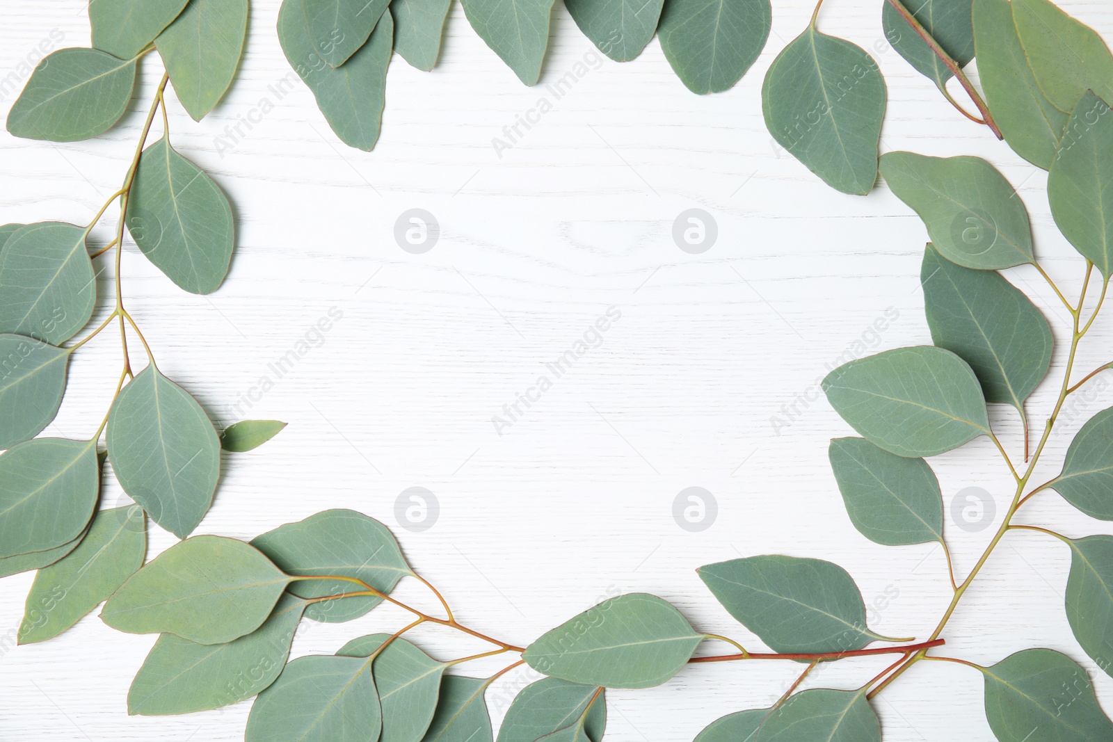 Photo of Flat lay composition with fresh eucalyptus leaves and space for design on white wooden background