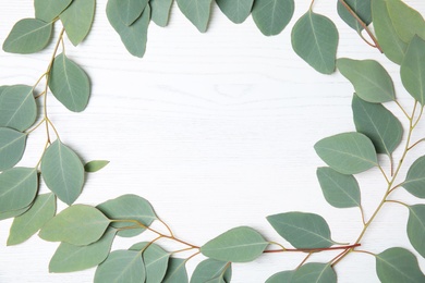 Photo of Flat lay composition with fresh eucalyptus leaves and space for design on white wooden background