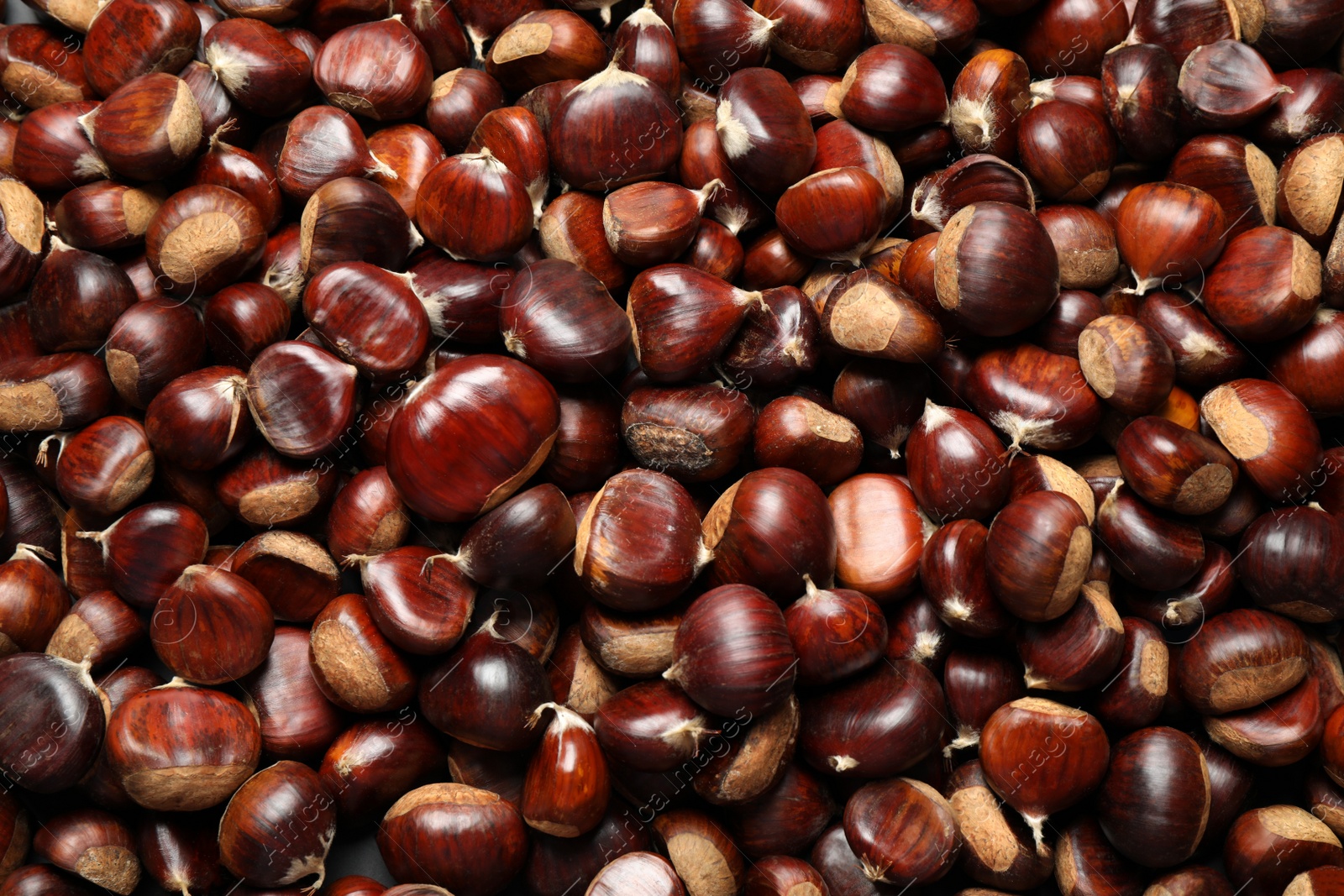 Photo of Top view of fresh edible sweet chestnuts as background, closeup