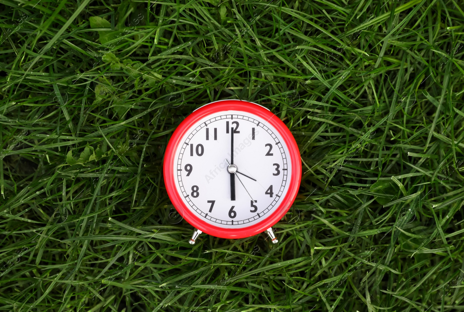 Photo of Red alarm clock on green grass outdoors, top view