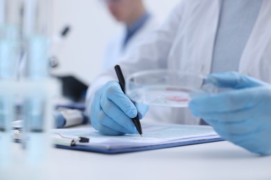 Laboratory worker holding petri dish with blood sample while working at white table, closeup